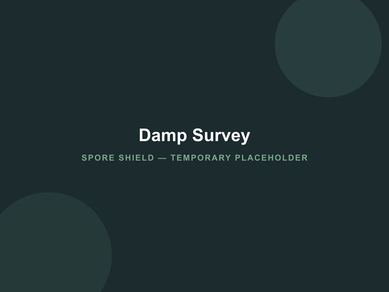 Placeholder image representing a damp survey visit (temporary Development image)