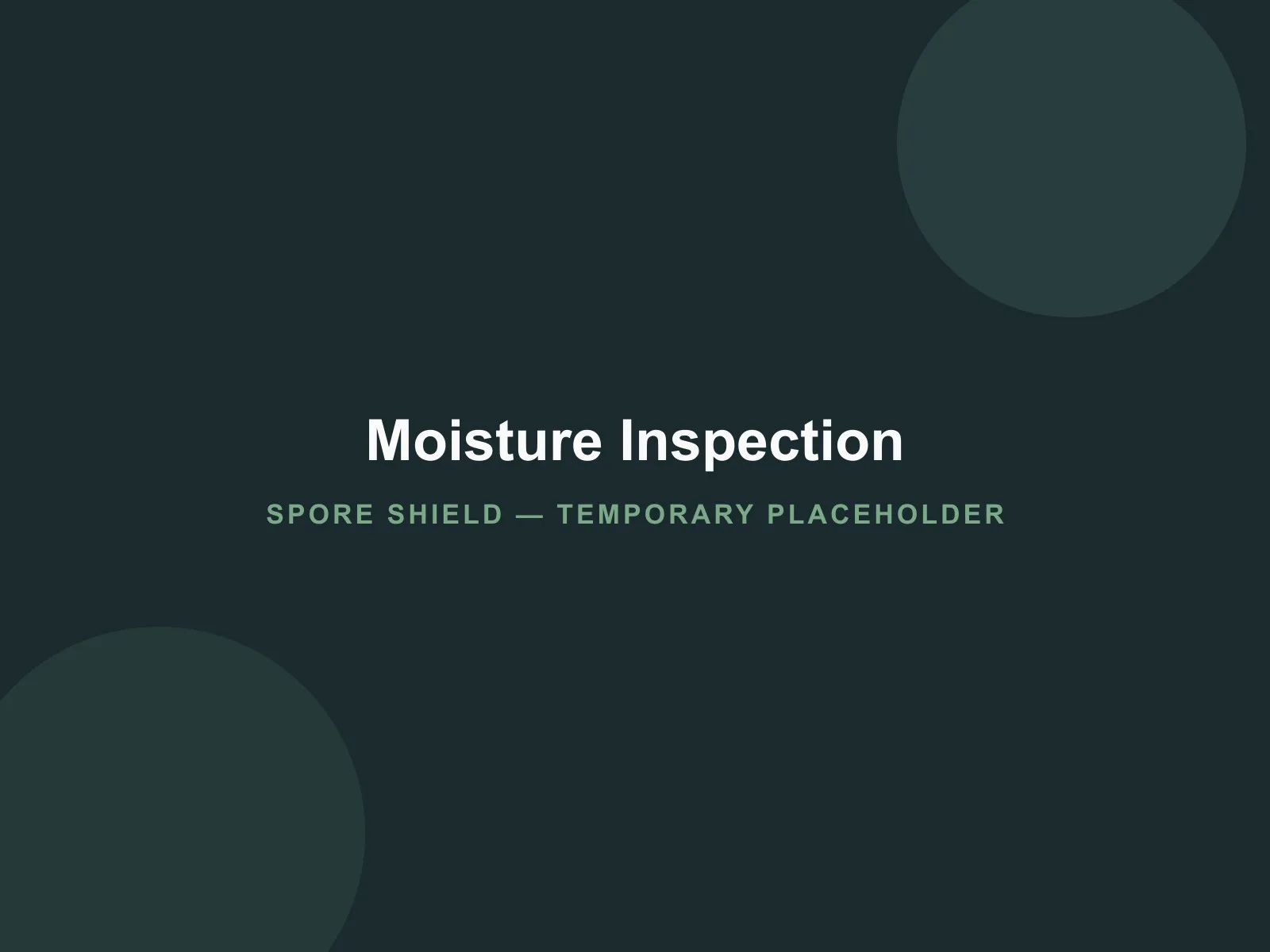 Placeholder photo of a moisture inspection used in a Phase 6 case study example (temporary Development image)